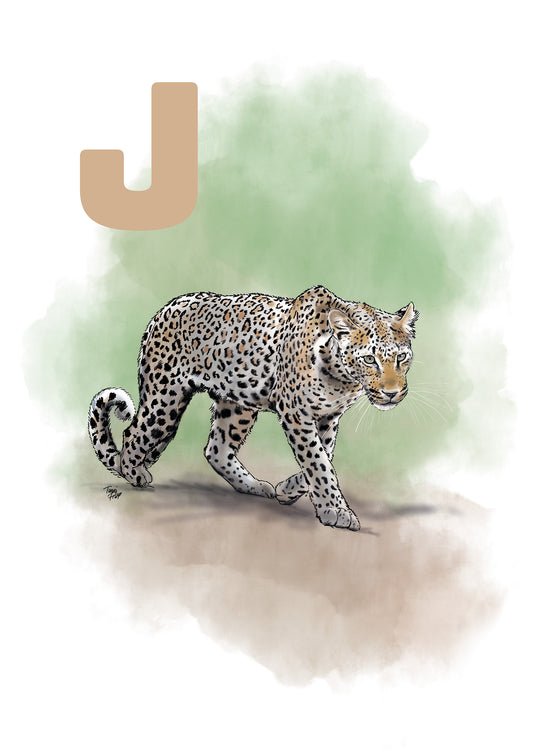 010 J Jaguar - GRØN
