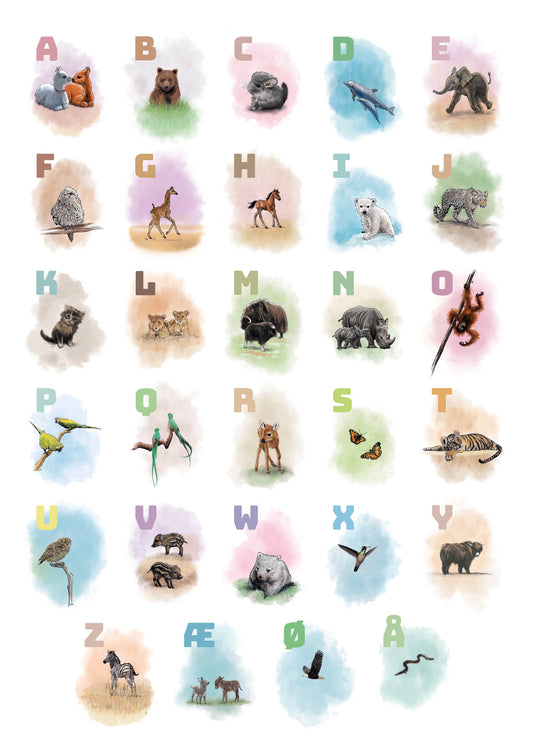 000 ABC Plakat alle dyr i alfabetet - ROSA