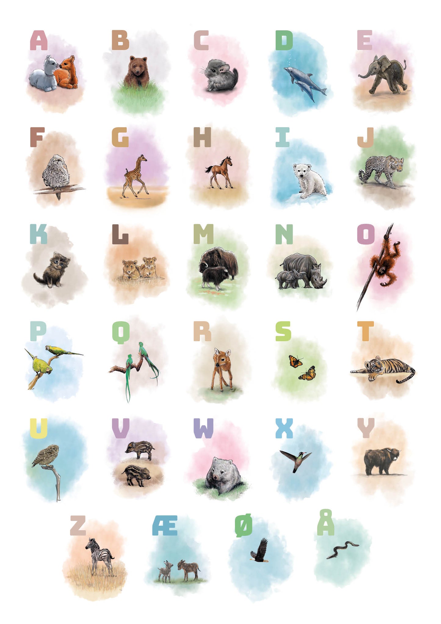 000 ABC Plakat alle dyr i alfabetet - ROSA