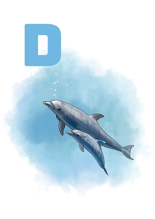 004 D Delfin BLÅ