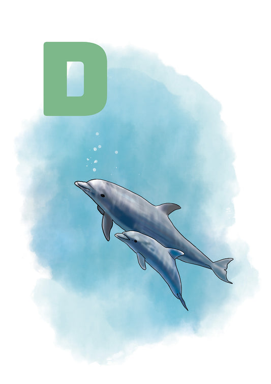 004 D Delfin GRØN