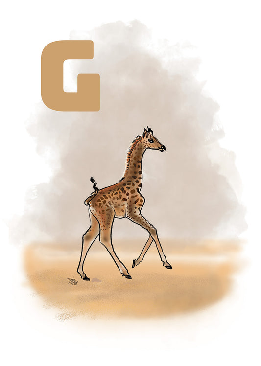 007 G Giraf - GRÅ