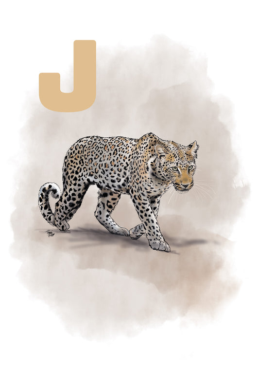 010 J Jaguar - GRÅ
