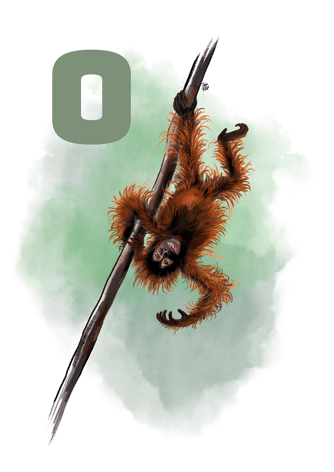 Dansk ABC Poster med O for orangutang grøn