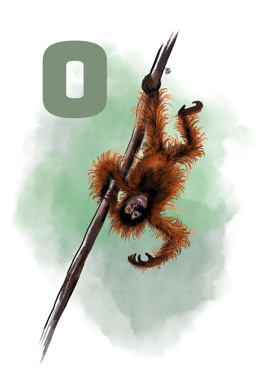 015 O Orangutang - GRØN