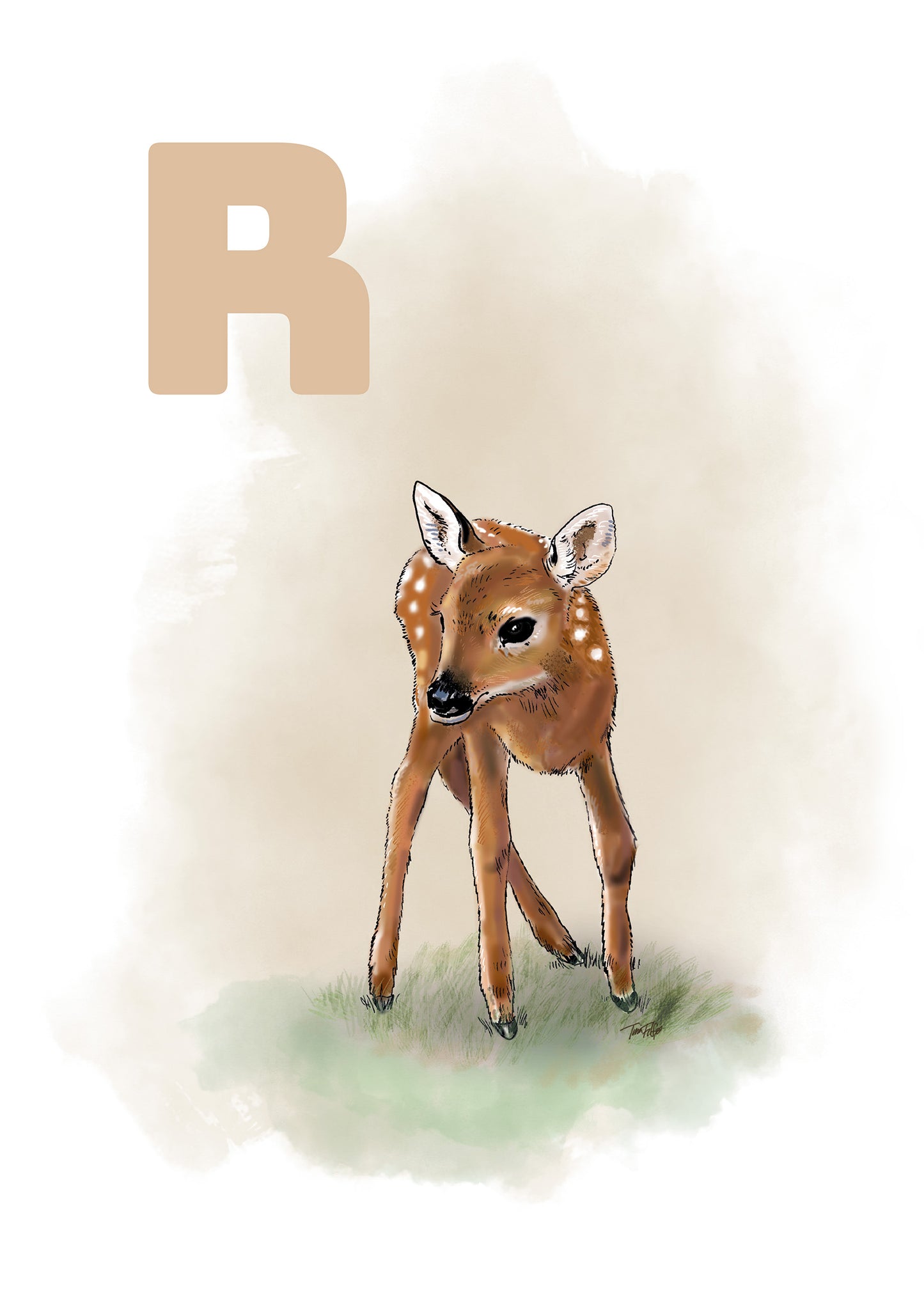 018 R Rådyr - SAND