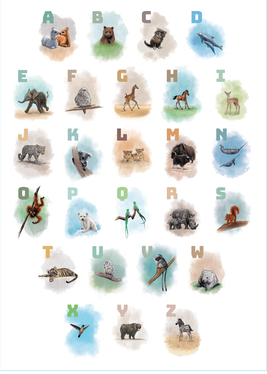 English ABC Poster in blue colors