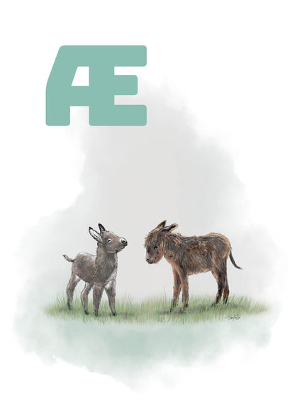 Dansk plakat med Æ for æsel 